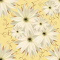 Seamless infinite background floral.. White-yelliw flowers. For design and printing. Background of natural flowers.