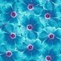 Seamless infinite floral background. For design and printing. Background of natural blue-turquoise Violets Royalty Free Stock Photo