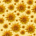 Seamless infinite orange floral background. For design and printing. Background of natural chrysanthemums.
