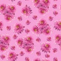 Seamless infinite pink floral background. For design and printing. Background of natural chrysanthemums.