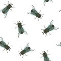 Seamless insect pattern. Lots of flies