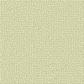 Seamless intricate maze