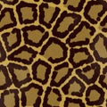 Seamless jaguar or leopard fur texture Royalty Free Stock Photo