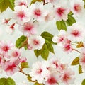 Seamless Japanese Sakura Blossom Pattern Royalty Free Stock Photo
