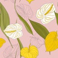 Seamless kala pattern with light yellow and white lily flowers and green long leaves on pink background.Modern calla Royalty Free Stock Photo