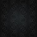 Seamless lace. Abstract floral pattern Royalty Free Stock Photo