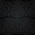 Seamless lace. Abstract floral pattern Royalty Free Stock Photo