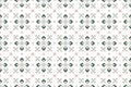 Seamless lace pattern with folkloric floral ornament
