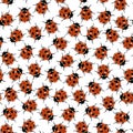 Seamless ladybug pattern isolated