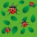 Seamless ladybugs Royalty Free Stock Photo