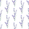Seamless lavender flowers pattern. Watercolor floral background with blue and violet lavender branch and leaves for wrapping paper