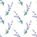 Seamless lavender flowers patterSeamless lavender pattern. Watercolor floral background with blue and violet lavender flowers,