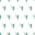 Seamless lavender leaves pattern. Watercolor floral background with green lavender branch and leaves for wrapping paper, wallpaper