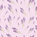 Seamless lavender pattern on purple background