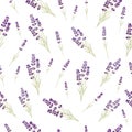 Seamless lavender pattern on white background.