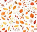 Seamless maple Leaf and Chestnuts Elegance autumn seasons red orange yellow Royalty Free Stock Photo