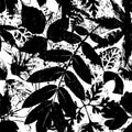 Seamless leaves background pattern, with paint strokes and splashes, black and white Royalty Free Stock Photo