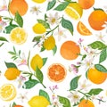 Seamless Lemon and Orange pattern with tropic fruits, leaves, flowers background. Hand drawn illustration summer cover