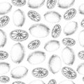 Seamless lemon pattern. Fresh fruit sketch