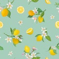 Seamless Lemon pattern with tropic fruits, leaves, flowers background. Hand drawn illustration in watercolor style for summer