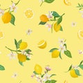 Seamless Lemon pattern with tropic fruits, leaves, flowers background. Hand drawn illustration in watercolor style for summer