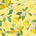 Seamless Lemon pattern with tropic fruits, leaves, flowers background. Hand drawn illustration in watercolor style for summer