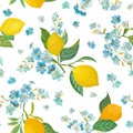 Seamless Lemon pattern with tropic fruits, leaves, forget me not flowers background. Hand drawn illustration watercolor summer