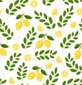 Seamless lemon pattern on white background. Vector citrus illustration.