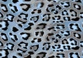 Seamless leopard cheetah animal skin pattern. Ornamental Blue Gray Design for women textile fabric printing. Royalty Free Stock Photo