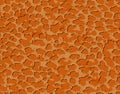 seamless leopard cheetah texture animal skin pattern. Gold color textile fabric print. Suitable for fashion use. Vector Royalty Free Stock Photo