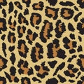 Seamless Leopard Fur Pattern Vector Image. Leopard print pattern. Royalty Free Stock Photo