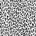 Seamless leopard fur pattern. Royalty Free Stock Photo