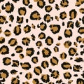 Seamless leopard fur pattern brush design Royalty Free Stock Photo