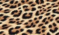 Leopard fur pattern texture background. Royalty Free Stock Photo