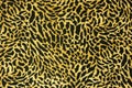 Seamless leopard fur pattern Royalty Free Stock Photo