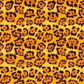 Seamless leopard fur pattern background Royalty Free Stock Photo