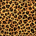 Seamless leopard, ocelot or wild cat fur pattern print Royalty Free Stock Photo