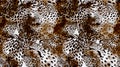 Seamless leopard pattern. Abstract animals pattern Royalty Free Stock Photo