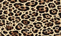 Seamless Leopard Print Pattern Background Animal. Royalty Free Stock Photo