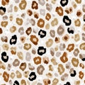 Seamless leopard print pattern with brown, black, and tan spots on white background Royalty Free Stock Photo