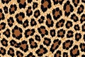 Leopard Print Seamless Pattern Brown Beige and Black Texture Royalty Free Stock Photo