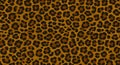 Seamless leopard print pattern featuring irregular black spots on a Royalty Free Stock Photo
