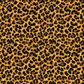Seamless leopard print pattern with an orange brown background Royalty Free Stock Photo