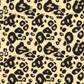 Seamless Leopard Print Pattern Royalty Free Stock Photo