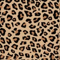 Seamless leopard print. Vector pattern, texture, background