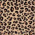 Seamless leopard print. Vector pattern, texture, background Royalty Free Stock Photo