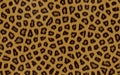 Seamless leopard skin pattern. Royalty Free Stock Photo