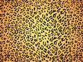 Seamless leopard skin pattern fur Royalty Free Stock Photo