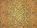 Seamless leopard skin pattern fur Royalty Free Stock Photo