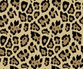 Seamless Leopard Skin Pattern for Textile Print for printed fabric design for Womenswear, underwear, activewear kidswear